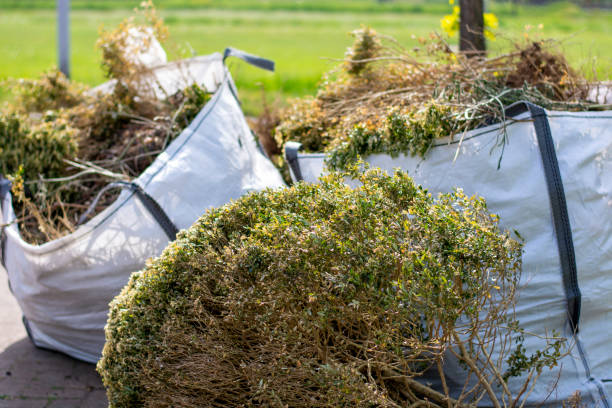Best Scrap Metal Removal  in Oak Grove, VA